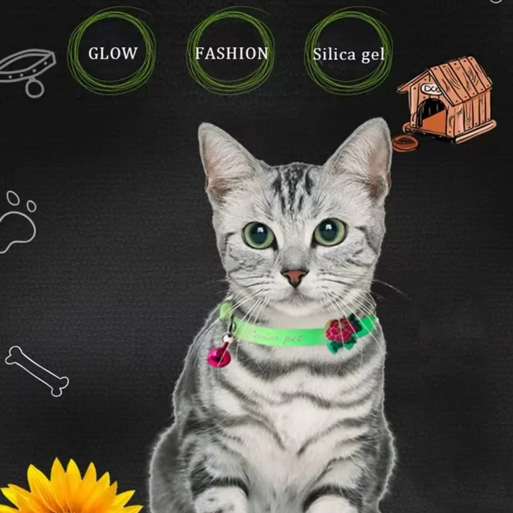 Glow-in-the-Dark Cat Accessory Set